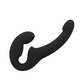 Share Lite